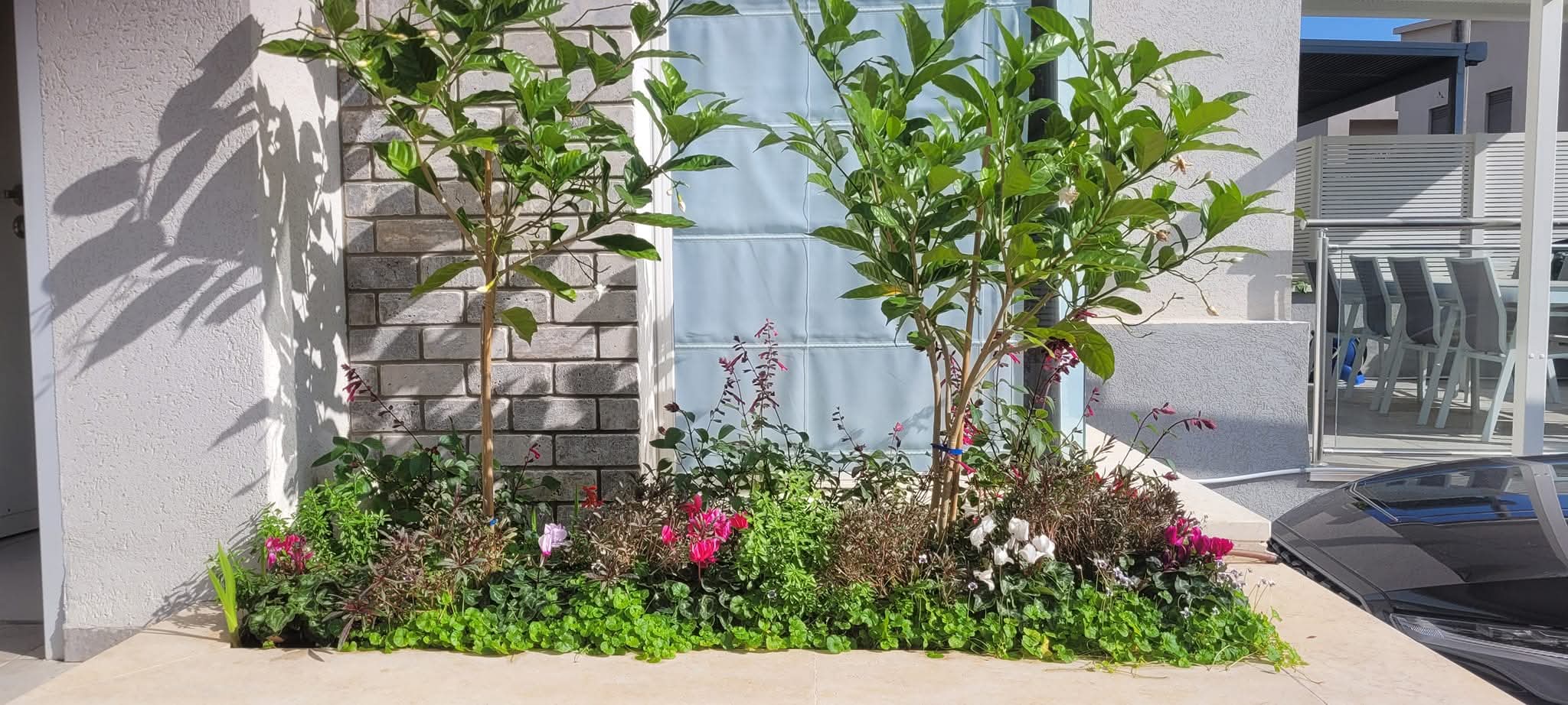 FB_IMG_1766652123243 - Shir Amitzur