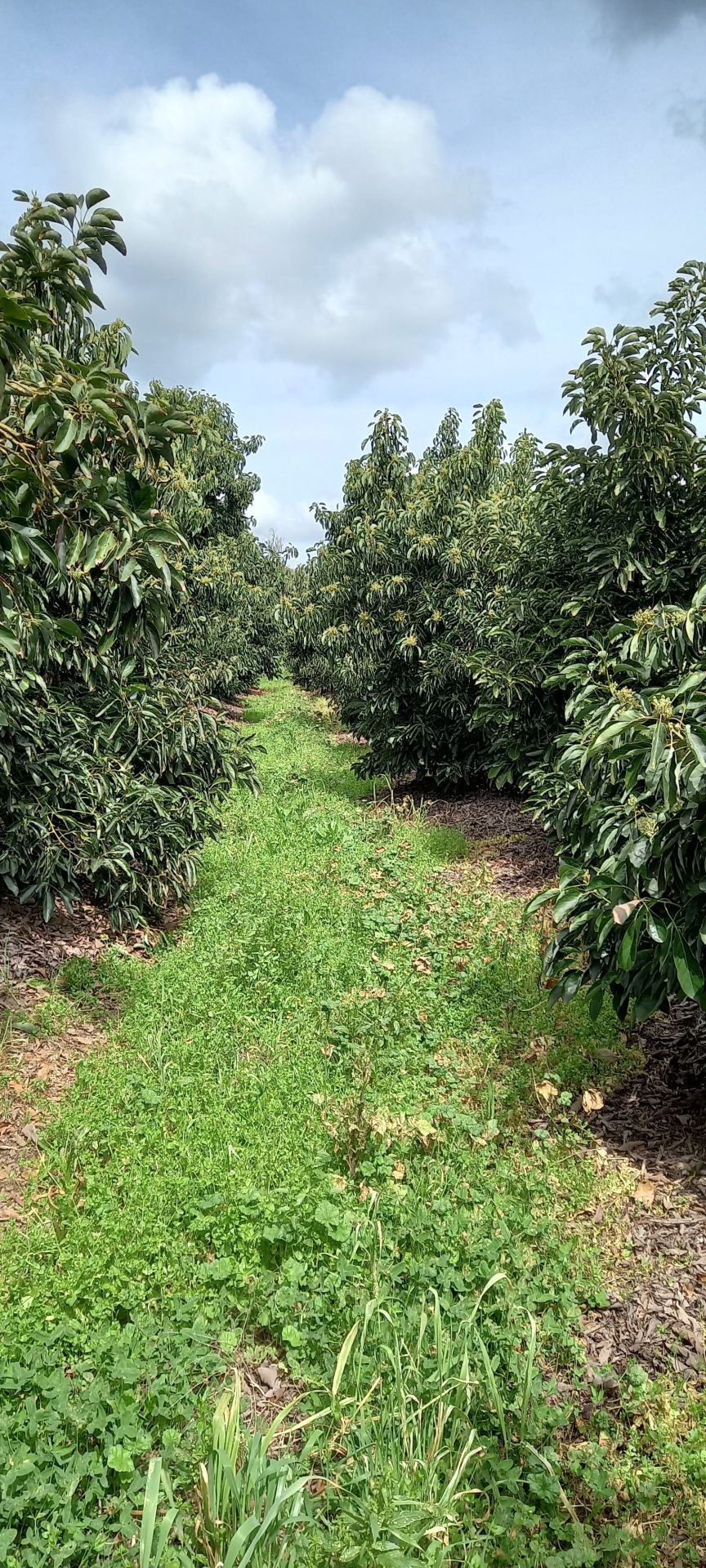 20230307_111045 - גיורא חצב