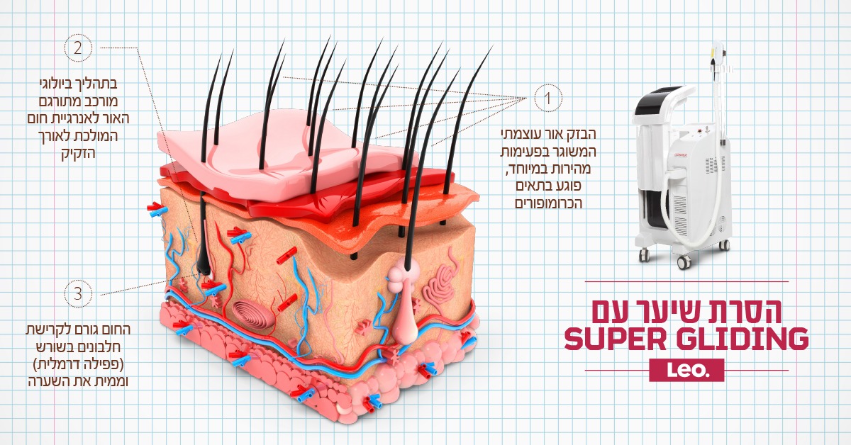 IMG-20201104-WA0022 - stav rozenfeld