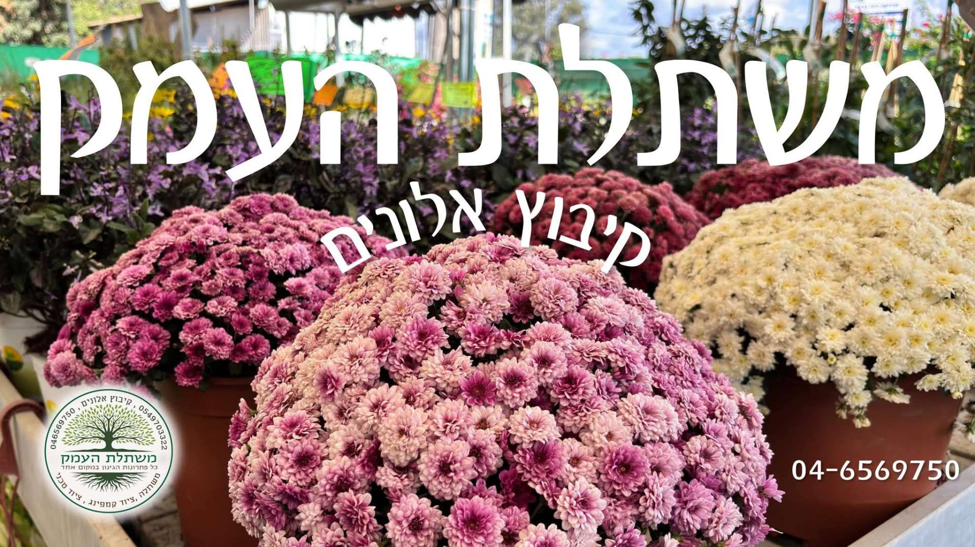 FB_IMG_1773566144270 - משתלת העמק